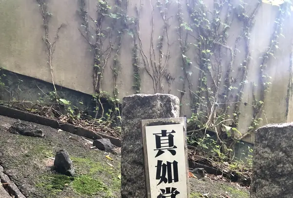 真如堂（真正極楽寺）の写真・動画_image_207325