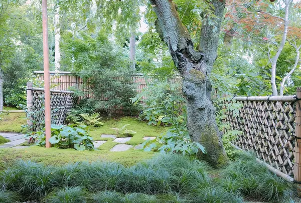 菊乃井無碍茶房の写真・動画_image_207330