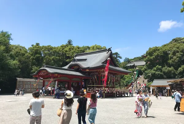 鶴岡八幡宮の写真・動画_image_207467