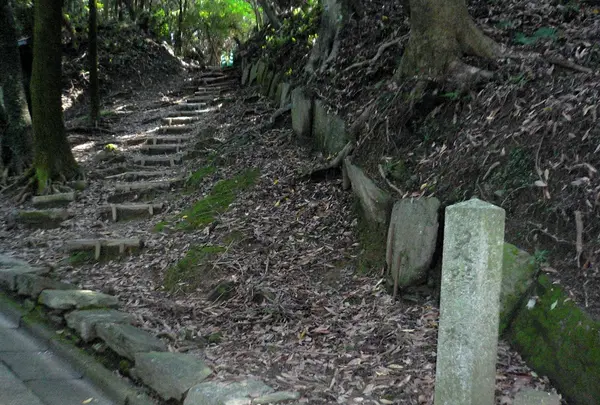 高良大社の写真・動画_image_207615