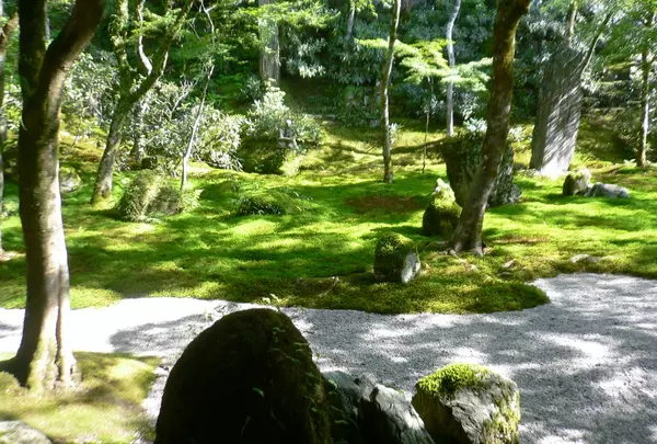 光明禅寺の写真・動画_image_207617