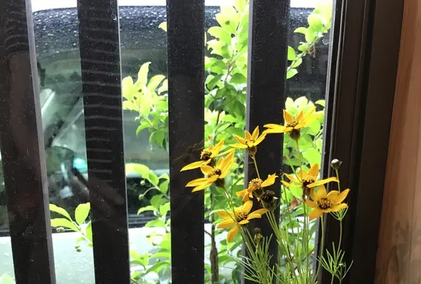 炭火焼うなぎ 魚寅の写真・動画_image_207660