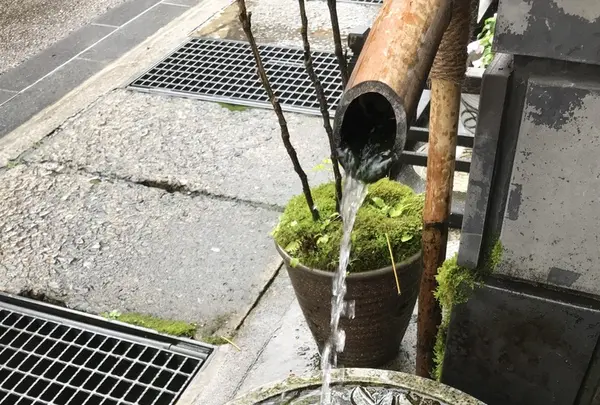 炭火焼うなぎ 魚寅の写真・動画_image_207663