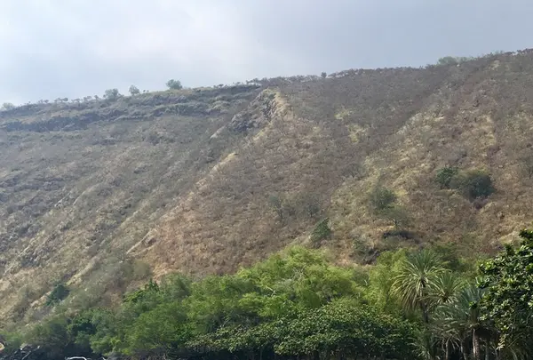 ケアラケクア・ベイ州立歴史公園の写真・動画_image_207714