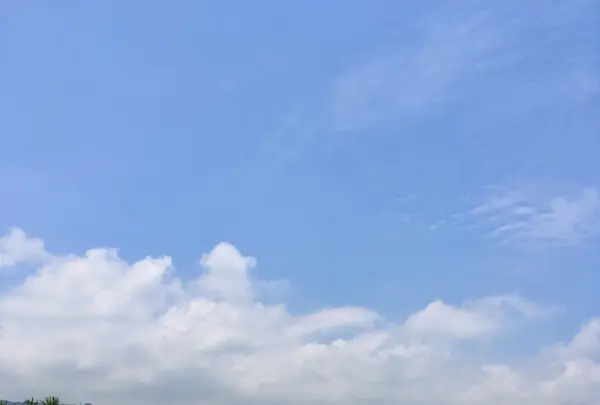 Beach Villas at Kahaluu Beachの写真・動画_image_207749