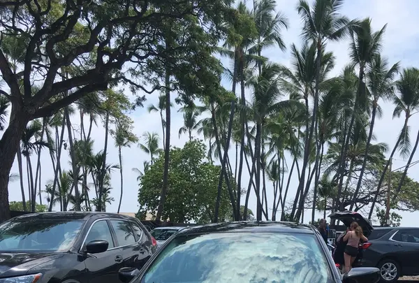 ハーツ レンタカーの写真・動画_image_207752