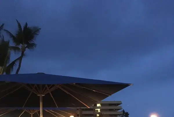 Huggo'sの写真・動画_image_207787