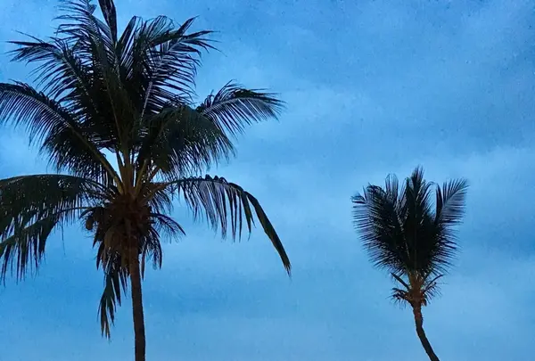 Huggo'sの写真・動画_image_207790