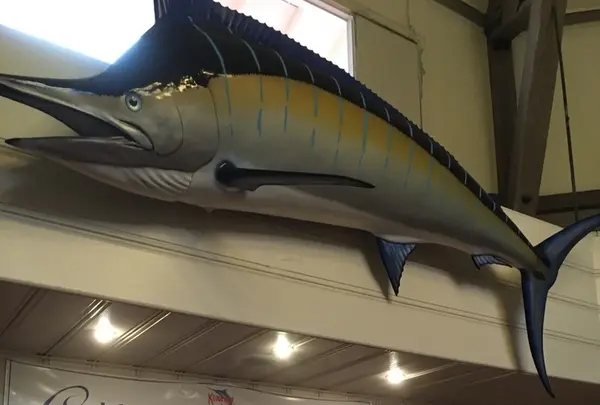 コナ イン レストランの写真・動画_image_208191