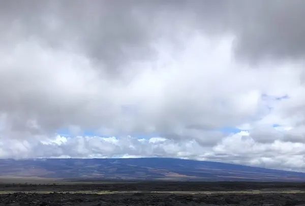 Saddle Rdの写真・動画_image_208200