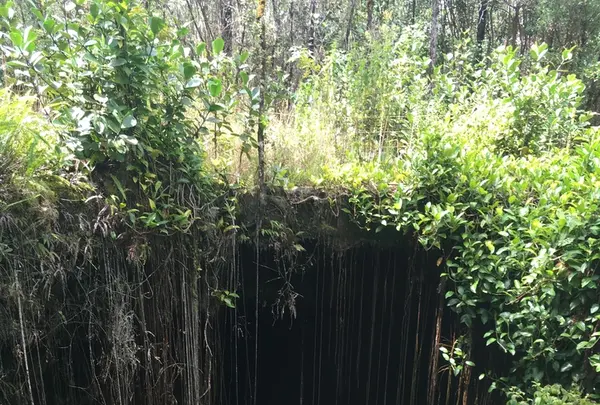 カウマナ・ケイブスの写真・動画_image_208201