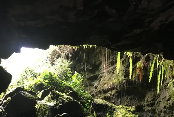 カウマナ・ケイブスの写真・動画_image_208202
