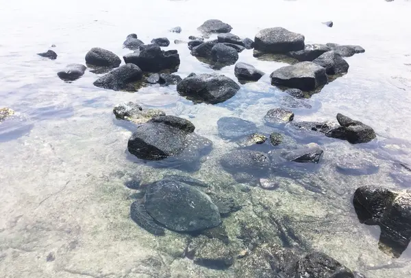 Beach Villas at Kahaluu Beachの写真・動画_image_208211