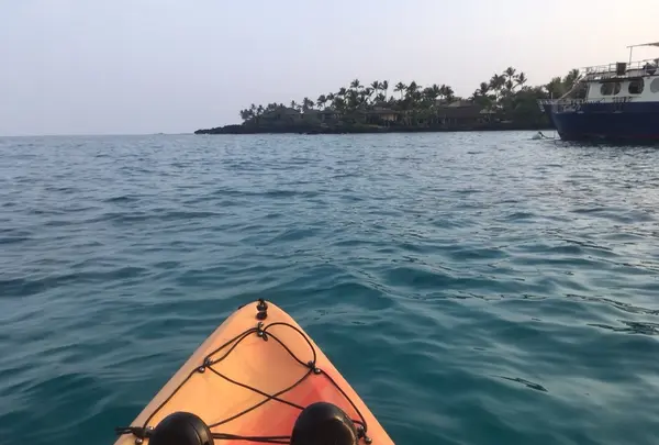 ケアウホウ・ベイの写真・動画_image_208212