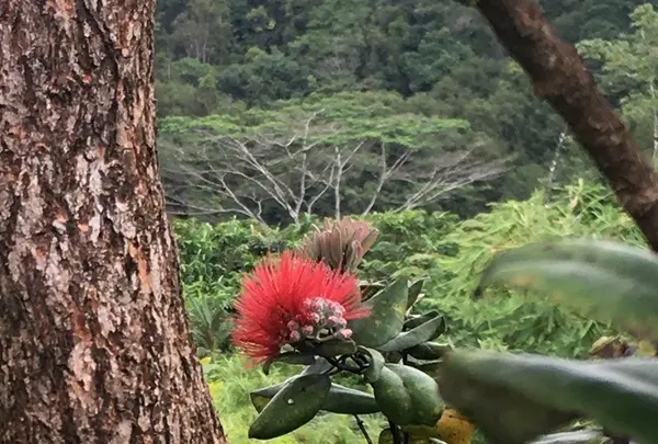 アカカ滝の写真・動画_image_208223