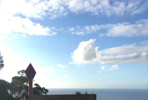 Waipio Valleyの写真・動画_image_208226