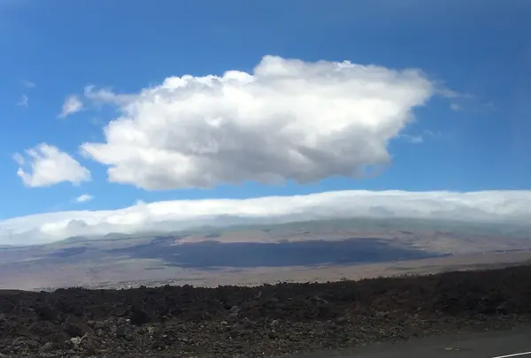 ハーツ レンタカーの写真・動画_image_208233