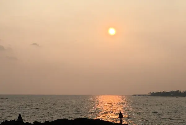 コナ イン レストランの写真・動画_image_208235