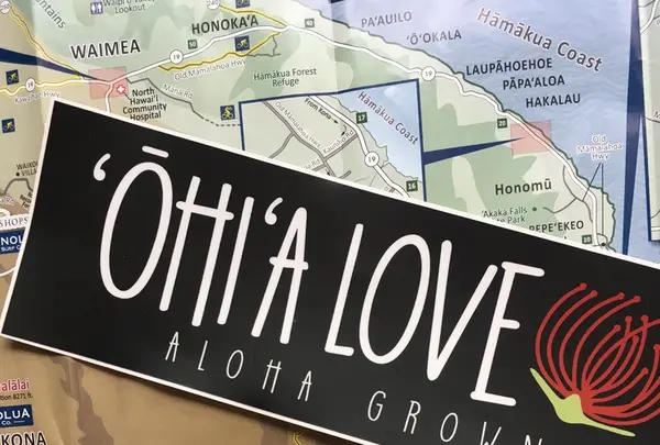 Parker Ranchの写真・動画_image_208253