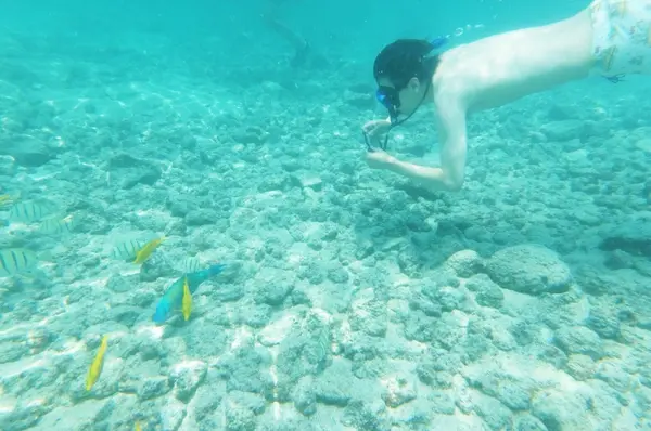 Beach Villas at Kahaluu Beachの写真・動画_image_208263