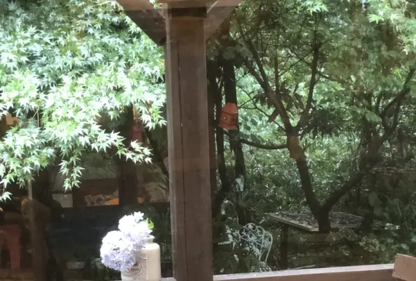 642 Pizzaの写真・動画_image_208286