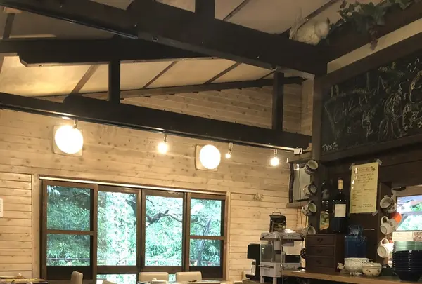 642 Pizzaの写真・動画_image_208287