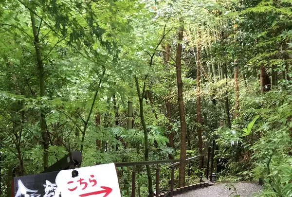 642 Pizzaの写真・動画_image_208288