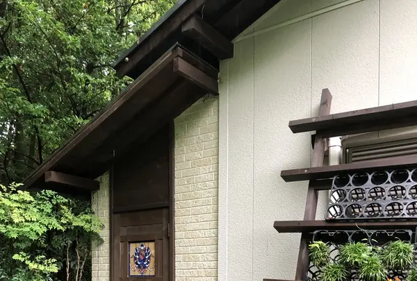 642 Pizzaの写真・動画_image_208293