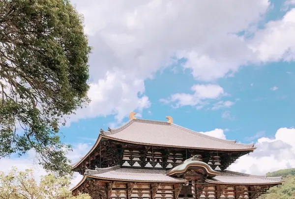 東大寺 南大門の写真・動画_image_208304