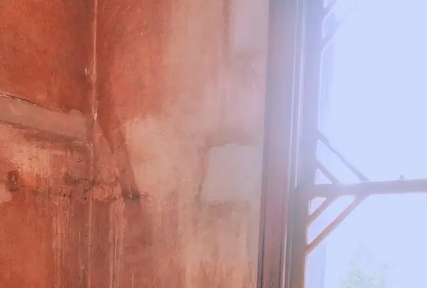 OXYMORON 北浜の写真・動画_image_208341