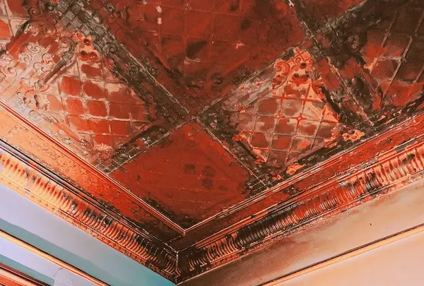 OXYMORON 北浜の写真・動画_image_208342