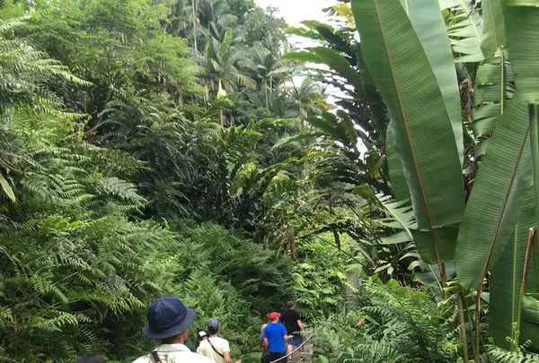 アカカ滝の写真・動画_image_208450