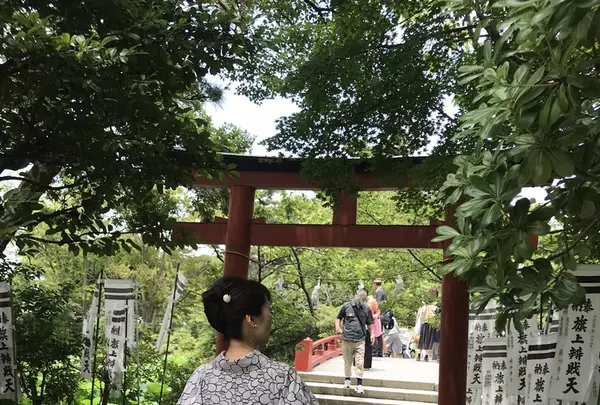 鶴岡八幡宮の写真・動画_image_208468