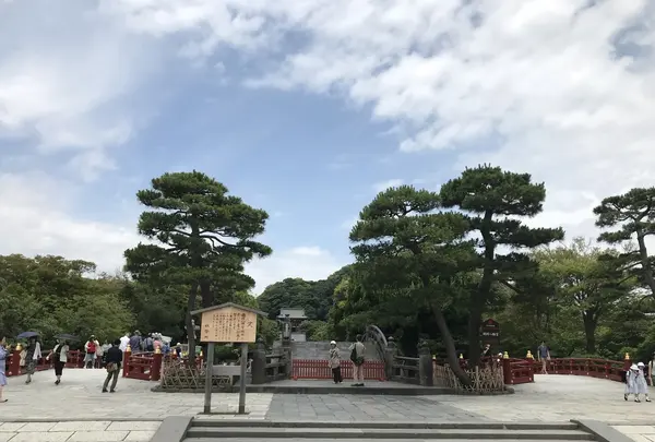 鶴岡八幡宮の写真・動画_image_208469