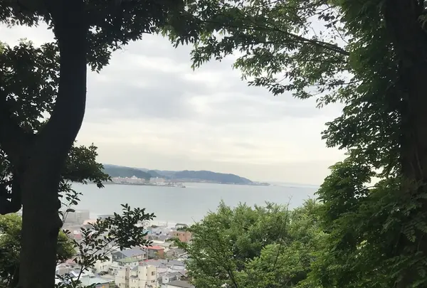 長谷寺の写真・動画_image_208484