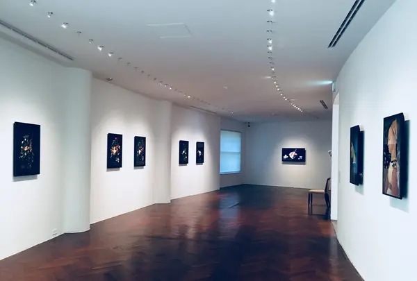 【閉業】原美術館の写真・動画_image_208504