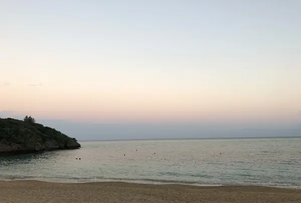 マリブビーチの写真・動画_image_208518