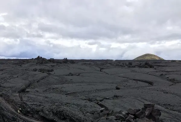 Saddle Rdの写真・動画_image_208550