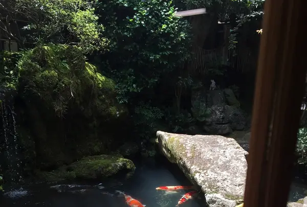 洛匠の写真・動画_image_208560