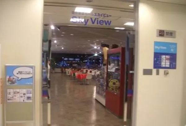 SkyView