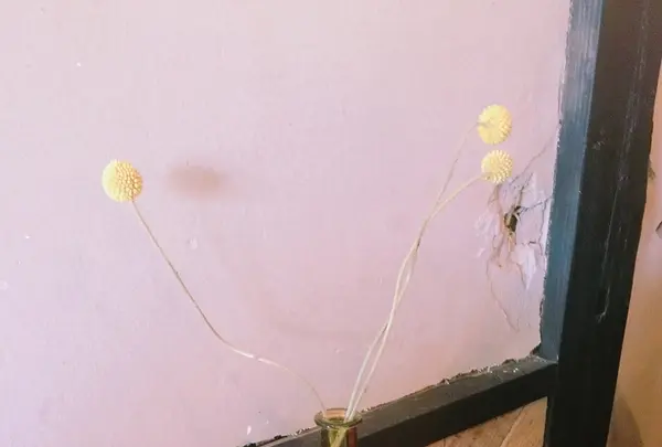 SAKAINOMA cafeの写真・動画_image_209033