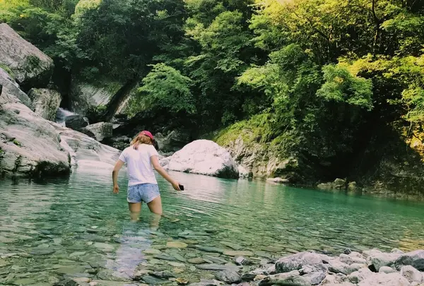 安居渓谷の写真・動画_image_209137