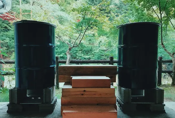 安居渓谷の写真・動画_image_209138