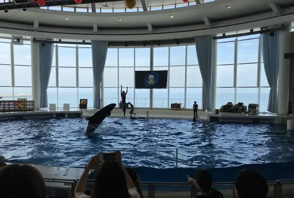 アクアワールド茨城県大洗水族館の写真・動画_image_209172