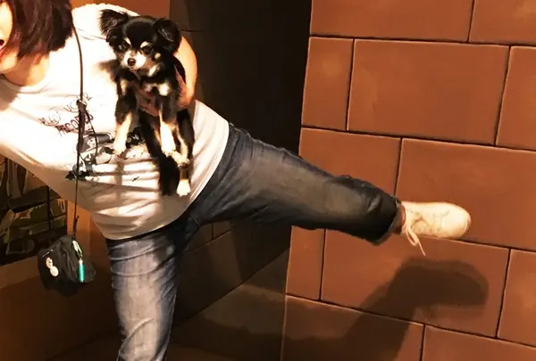 那須とりっくあーとぴあの写真・動画_image_209299