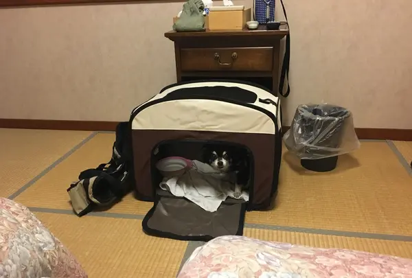 ペンション ハッピーの写真・動画_image_209300