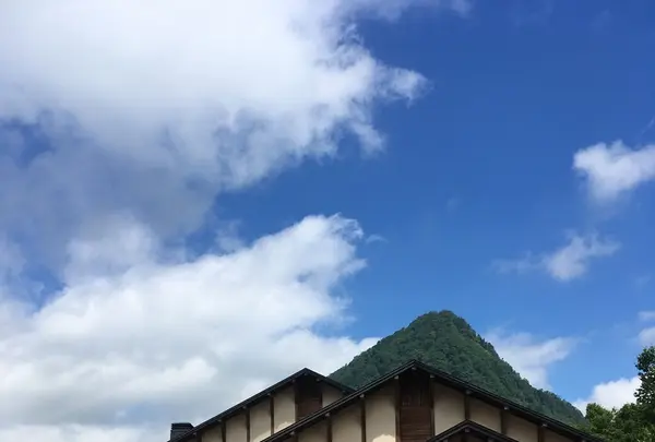 南玉川温泉 湯宿 はなやの森の写真・動画_image_209327