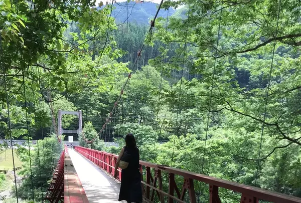 抱返り渓谷の写真・動画_image_209356
