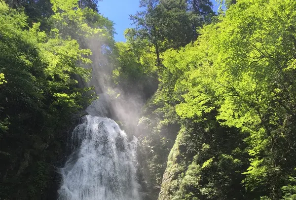 抱返り渓谷の写真・動画_image_209359