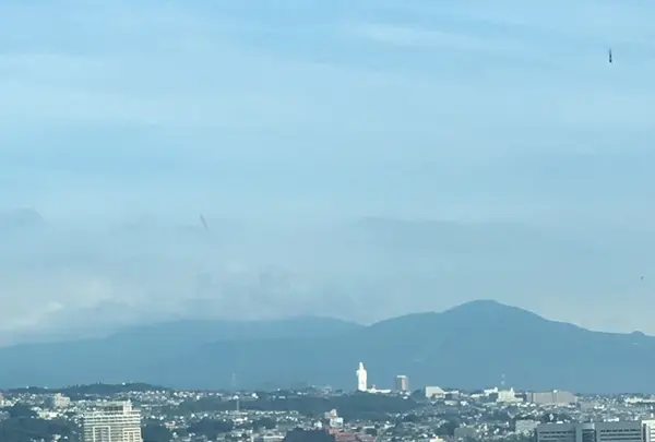 ウェスティンホテル仙台の写真・動画_image_209377